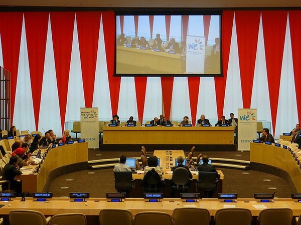 Vietnam attends UN policy integration discussions - ảnh 1